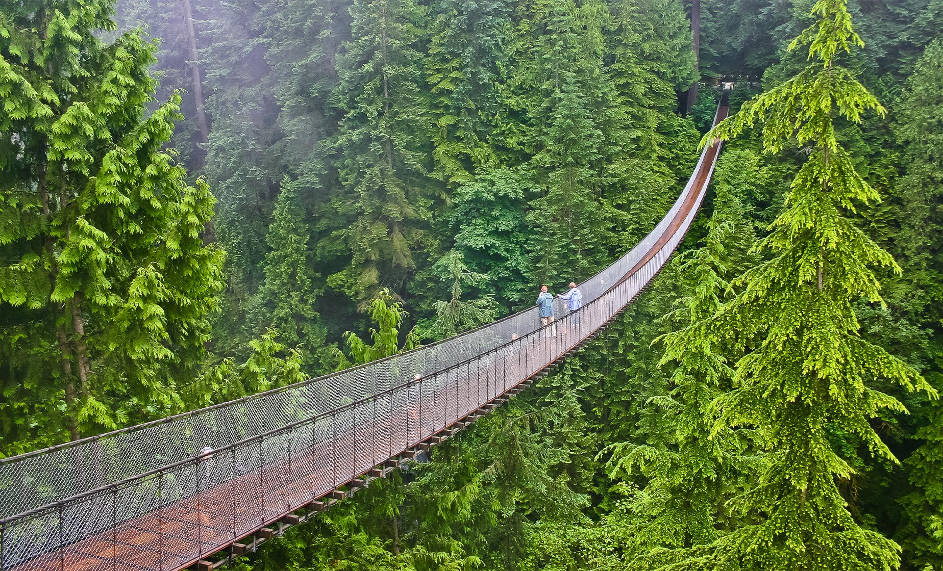 Best of Vancouver and Bridge - Image 1