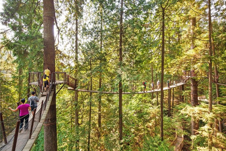 Best of Vancouver Highlights /Suspension Bridge/ Free Pizza Party Tour Private - Image 2