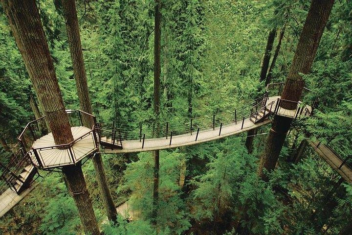 Best of Vancouver Highlights /Suspension Bridge/ Free Pizza Party Tour Private - Image 1