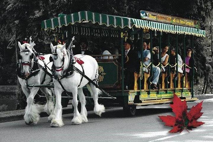Best Selling Vancouver Sightseeing Tour 5 Hours(Private setting) - Image 1