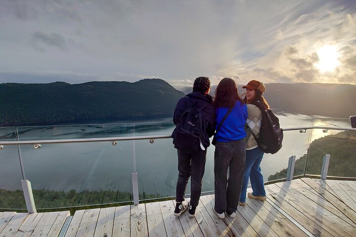 Exclusive: Vancouver Island & Malahat SkyWalk w/ VIP Cidery Tour - Image 4