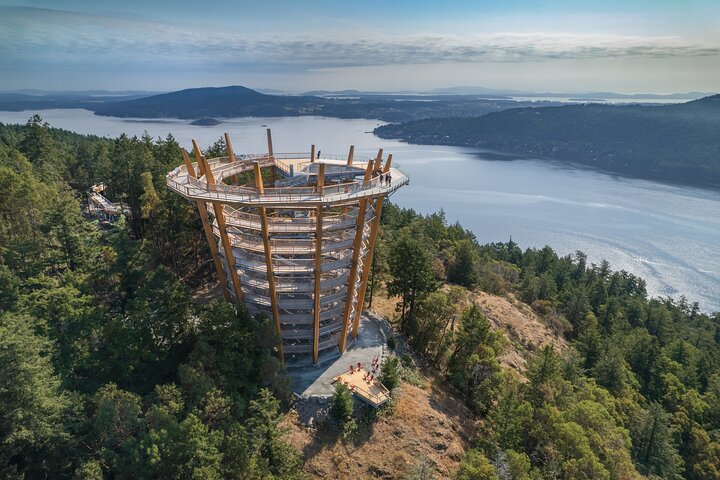 Exclusive: Vancouver Island & Malahat SkyWalk w/ VIP Cidery Tour - Image 1