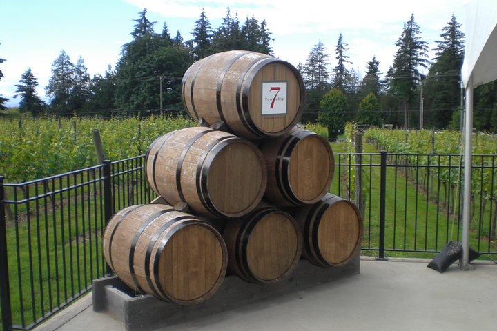 Fraser Valley Social Wine Tasting Private Tour - Image 2