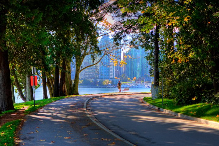 Full Day Best of Vancouver Private City and Gardens Tour - Image 2