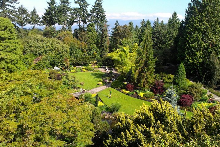 Full Day Best of Vancouver Private City and Gardens Tour - Image 4