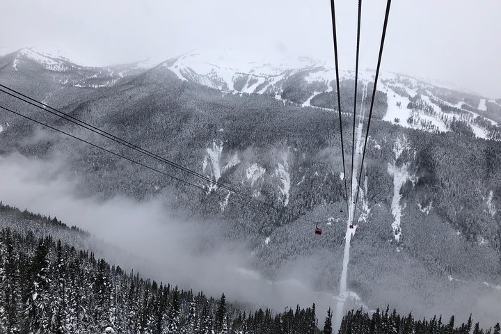 Guided Sightseeing Tour in Vancouver, Shannon Falls and Whistler - Image 5