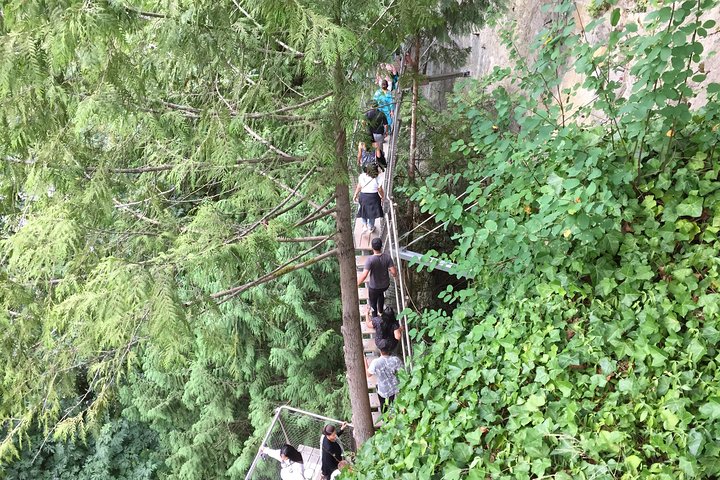 Mountain Adventure (Grouse Mountain and Capilano Suspension Bridge) - Image 4