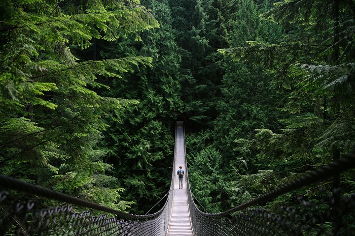 Mountain Adventure (Grouse Mountain and Capilano Suspension Bridge) - Image 1