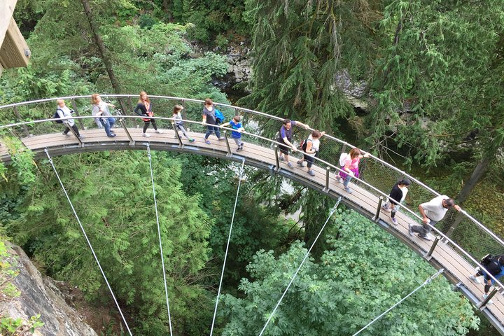 Mountain Adventure (Grouse Mountain and Capilano Suspension Bridge) - Image 3