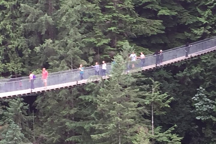 Mountain Adventure (Grouse Mountain and Capilano Suspension Bridge) - Image 5