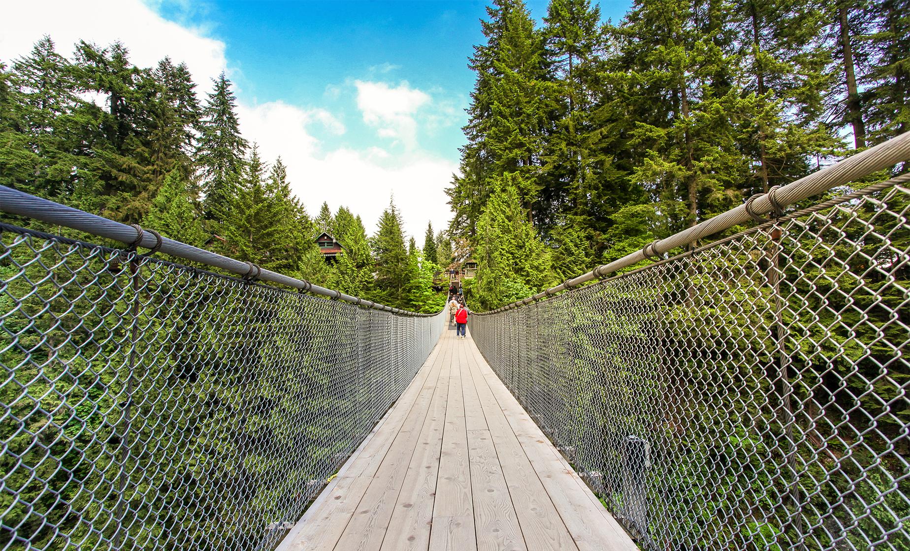 North Shore Capilano and Grouse Mountain Tour (Hotel Guests) - Image 1