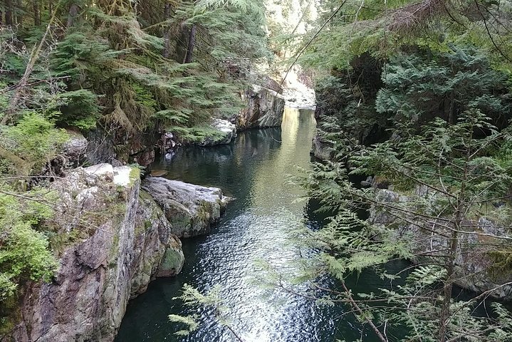 North Vancouver Discovery Private Tour - Image 5