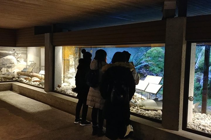 North Vancouver Discovery Private Tour - Image 3