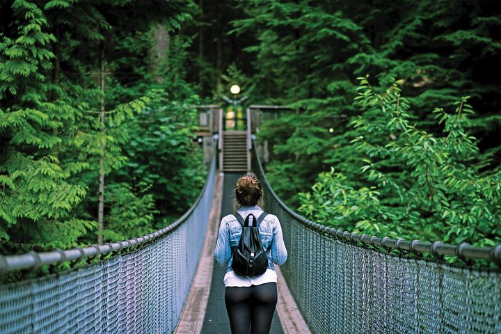 Post-Cruise Shore Excursion: Capilano Suspension Bridge & Grouse Mountain - Image 2