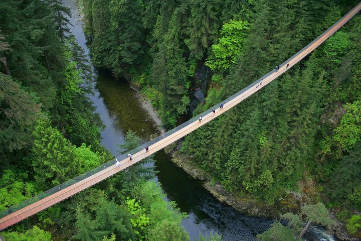 Post-Cruise Shore Excursion: Capilano Suspension Bridge & Grouse Mountain - Image 1