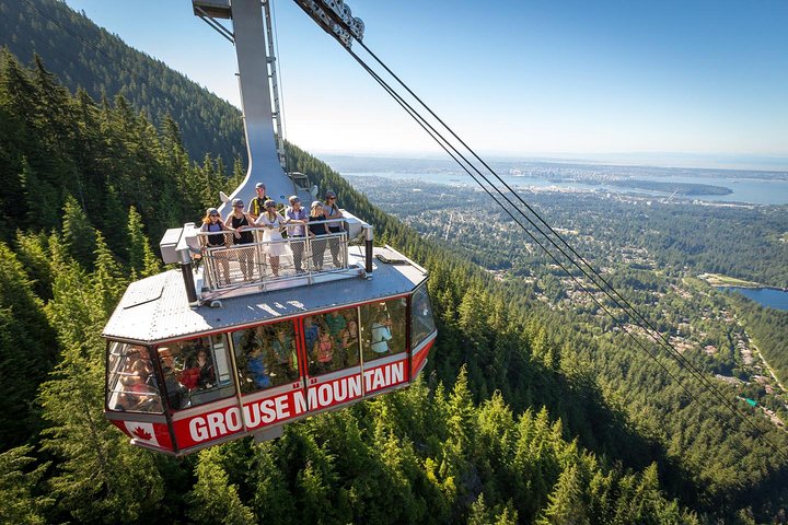 Post-Cruise Shore Excursion: Capilano Suspension Bridge & Grouse Mountain - Image 5