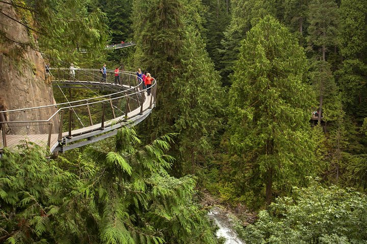Post-Cruise Shore Excursion: Capilano Suspension Bridge & Grouse Mountain - Image 3