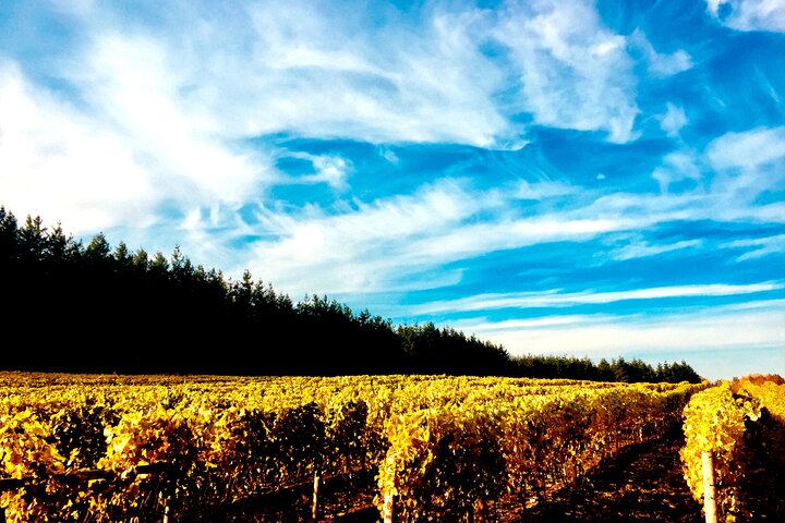Premium Fraser Valley and White Rock Wine Private Tour - Image 1