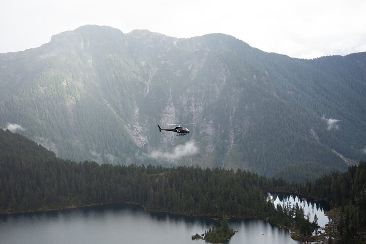 Pre/Post Cruise Helicopter BC Backcountry Tour with Hotel Pickup - Image 3