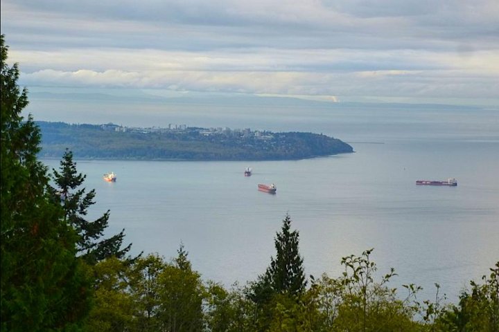 Private Charter Tour to Explore Vancouver and Surrounding Area - Image 5