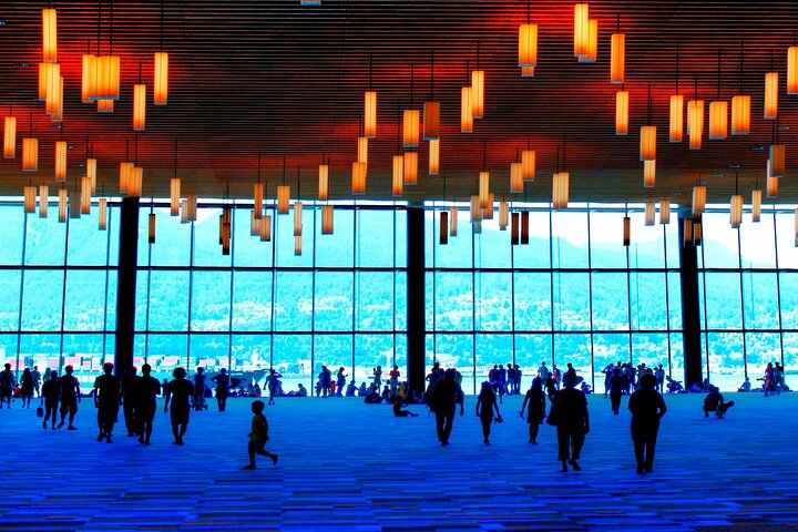 Private Guided Photogenic City Tour in Greater Vancouver - Image 3