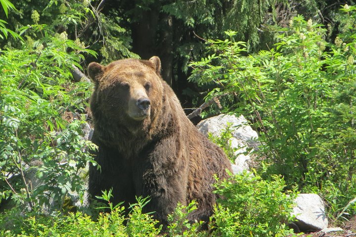 Private Squamish day trip - Image 4