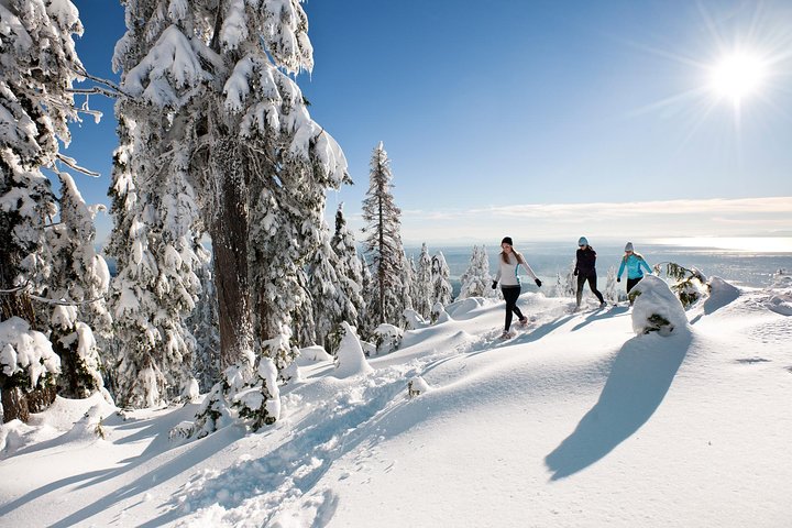 Private Tour: Capilano Suspension Bridge and Grouse Mountain - Image 3