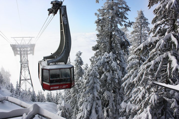 Private Tour: Capilano Suspension Bridge and Grouse Mountain - Image 1