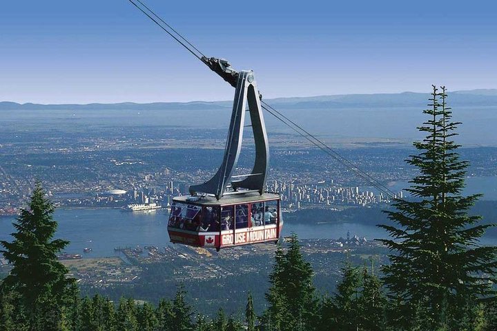 Private Tour: Capilano Suspension Bridge and Grouse Mountain - Image 2