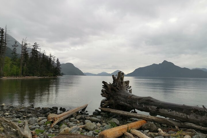 Squamish Howe Sound Explorer Private Tour - Image 5
