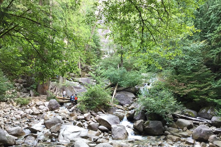 Unforgettable Whistler ( Full Day Private Tour) - Image 5