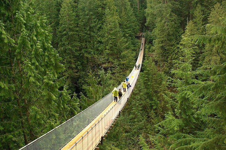 Vancouver and Capilano Park Private Tour - Image 1