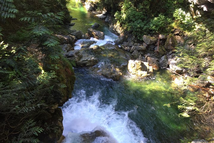 Vancouver Biking and Hiking Tour including Lunch - Image 4