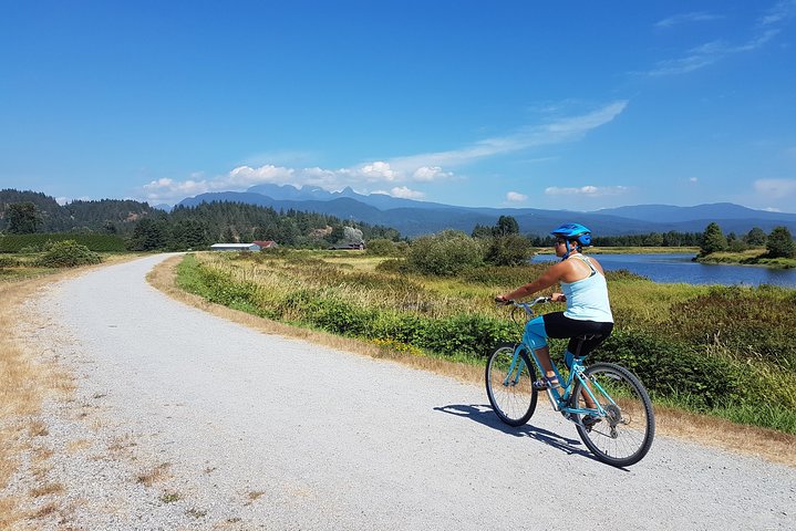 Vancouver Biking and Hiking Tour including Lunch - Image 3