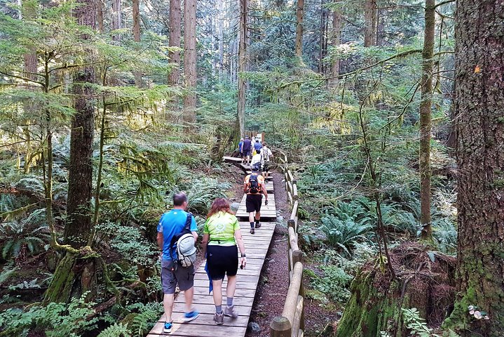 Vancouver Biking and Hiking Tour including Lunch - Image 5