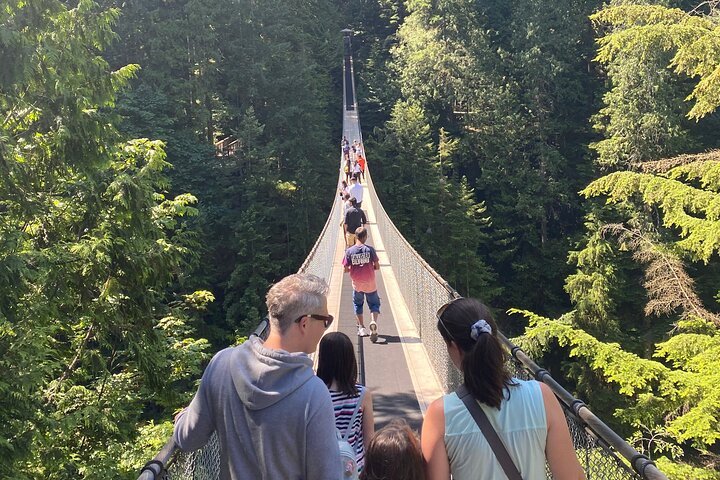 Vancouver Capilano Canyon light and peak of Christmas in Grouse mountain - Image 5