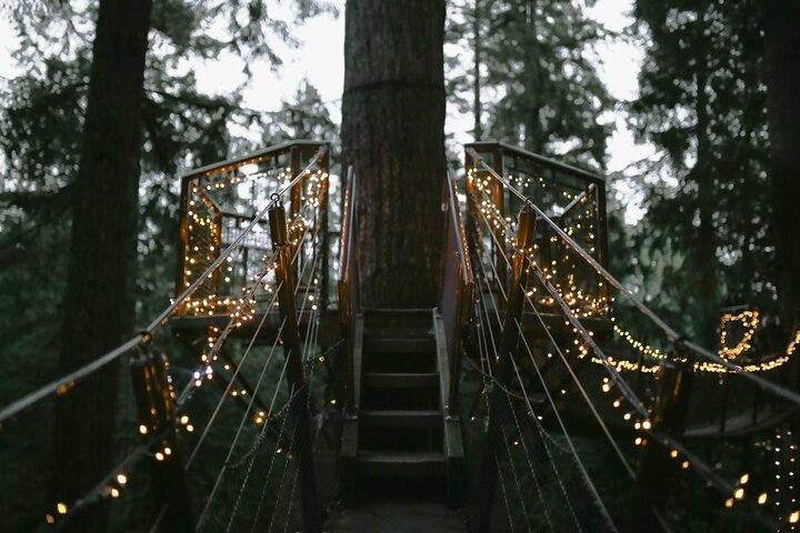Vancouver Capilano Canyon light and peak of Christmas in Grouse mountain - Image 4