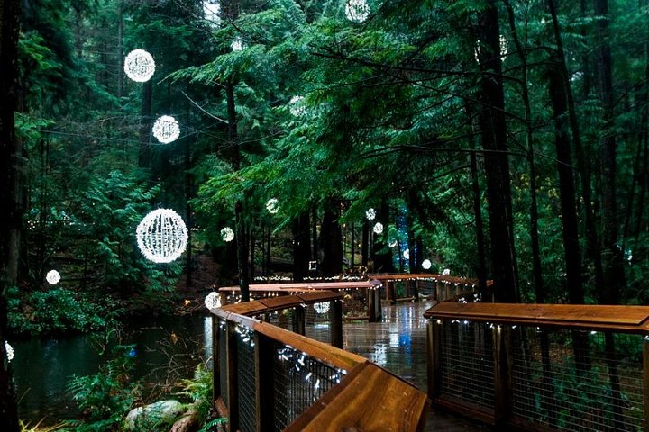 Vancouver Capilano Canyon light and peak of Christmas in Grouse mountain - Image 2