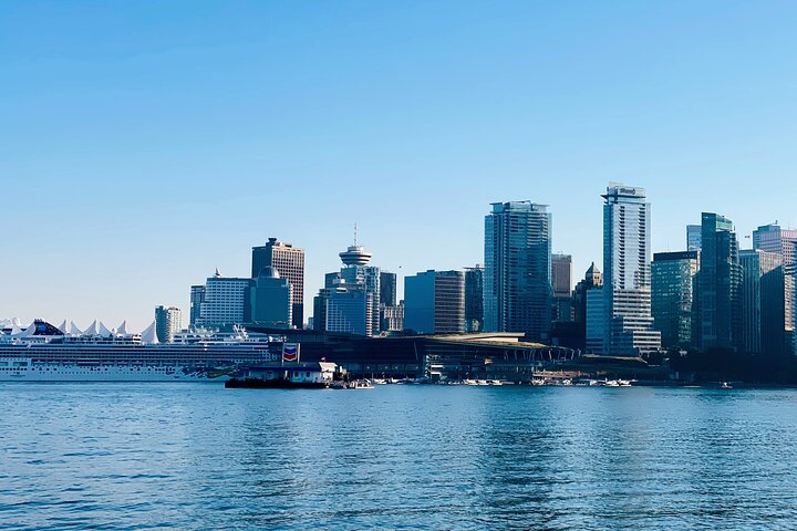 Vancouver, Capilano Suspension & Grouse Mountain Private Tour  - Image 1