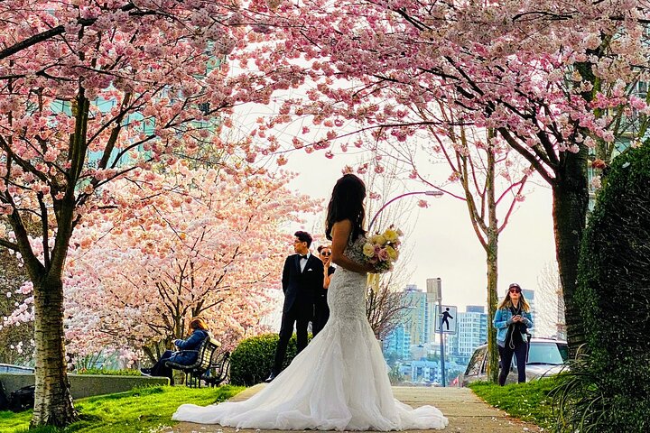 Vancouver City Tour with Cherry Blossom Festival Private - Image 1