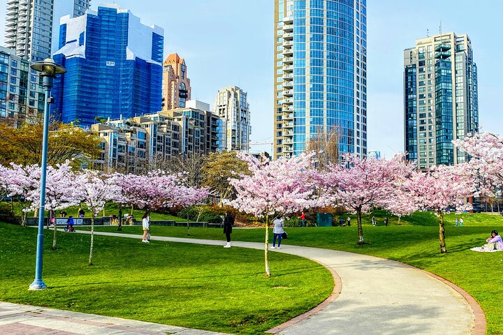 Vancouver City Tour with Cherry Blossom Festival Private - Image 3