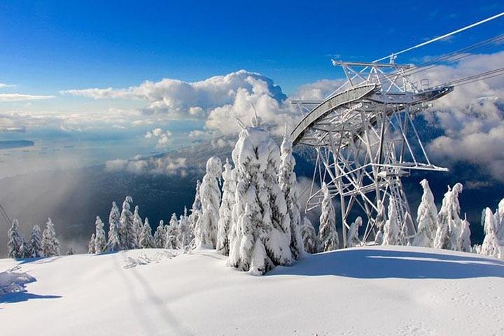 Vancouver City Tour With Stanley, Grouse Mountain & Capillano Suspension Private - Image 2