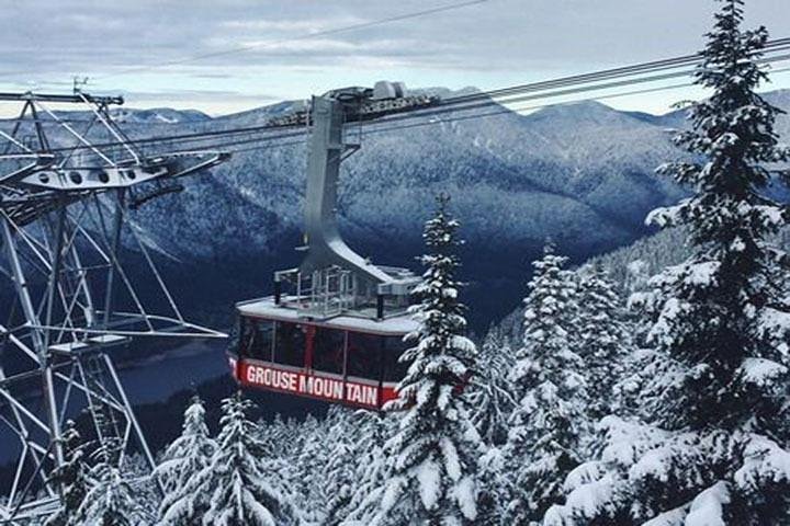 Vancouver City Tour With Stanley, Grouse Mountain & Capillano Suspension Private - Image 3