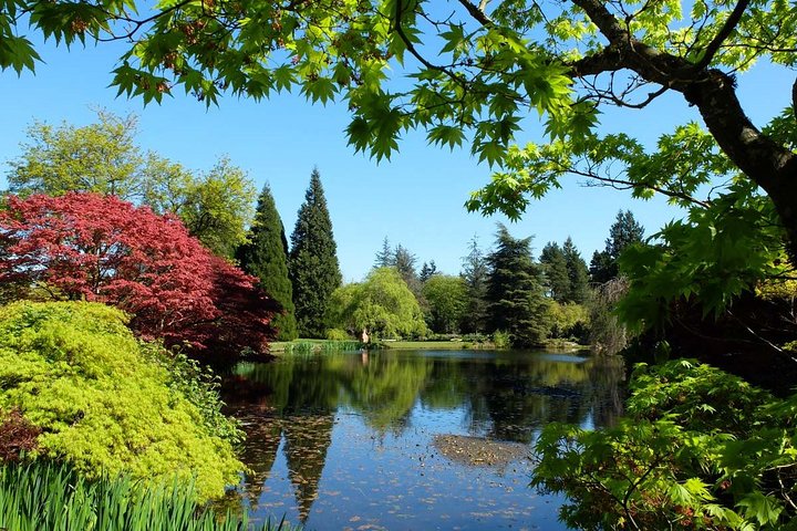  Vancouver Day Tour | Visit The Most Unique Places! Private - Image 2
