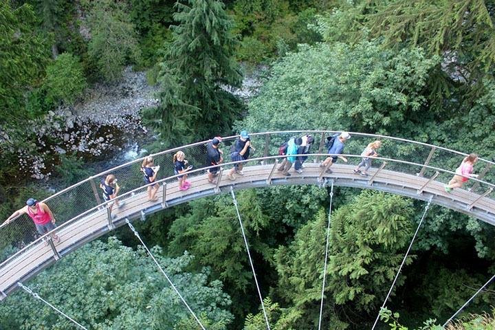 Vancouver Perfect Day Tour Grouse Mountain`& Capilano Suspention Bridge Private - Image 5