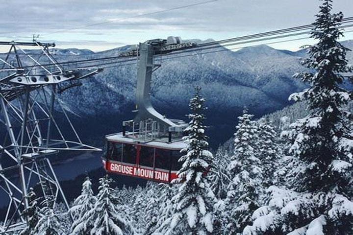 Vancouver Perfect Day Tour Grouse Mountain`& Capilano Suspention Bridge Private - Image 1
