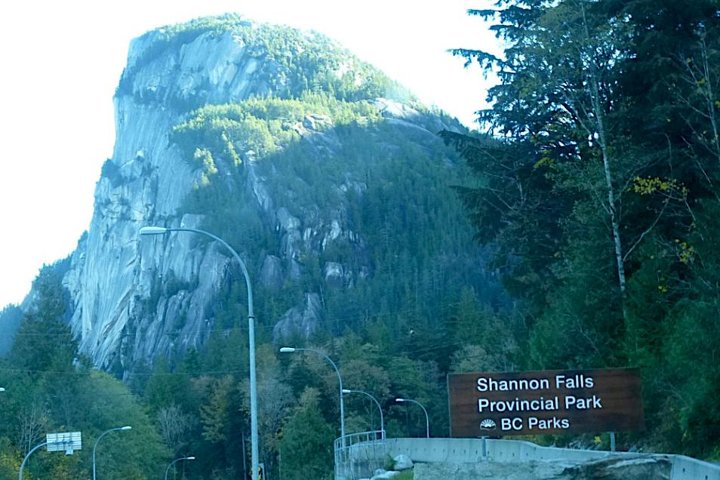 Vancouver Private Charter Tour with Experienced Local Guide - Image 3