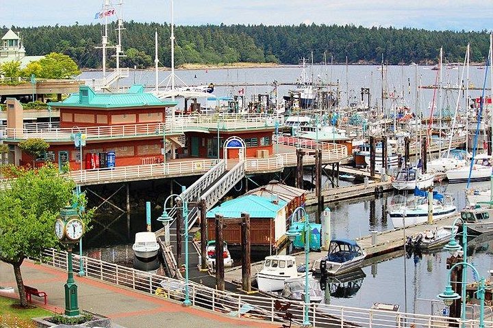 Vancouver to Nanaimo Harbour City Day Tour - Image 3