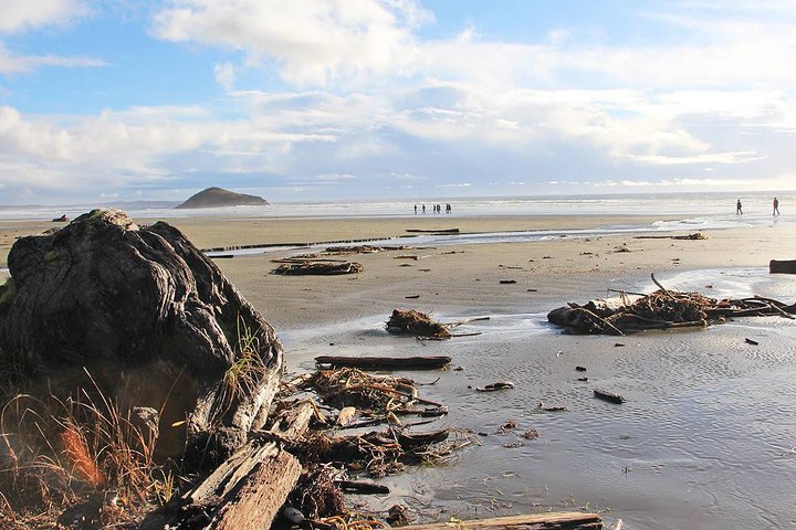 Vancouver to Tofino 2 Day Tour Private - Image 2