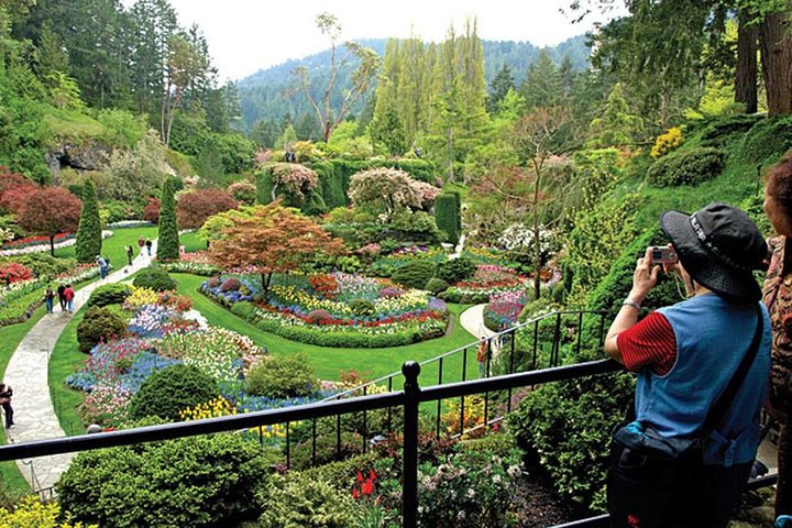Vancouver->Victoria Tour | Visit Craigdarroch Castle and Butchart Garden Private - Image 4